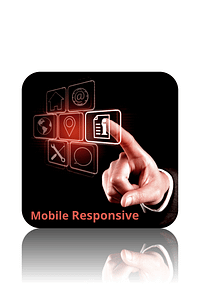 Mobile Responsive